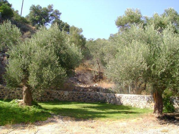 Rodakino Βay מראה חיצוני תמונה